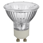 Halogeenlamp spot 35 W fitting GU10